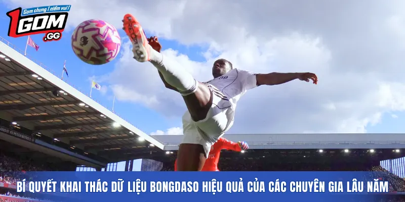 Bí quyết khai thác dữ liệu Bongdaso hiệu quả của các chuyên gia lâu năm