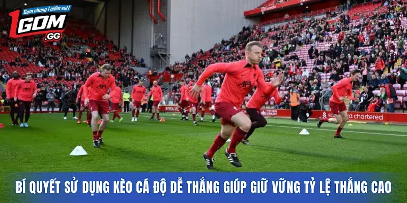 Bí quyết sử dụng kèo cá độ dễ thắng giúp giữ vững tỷ lệ thắng cao