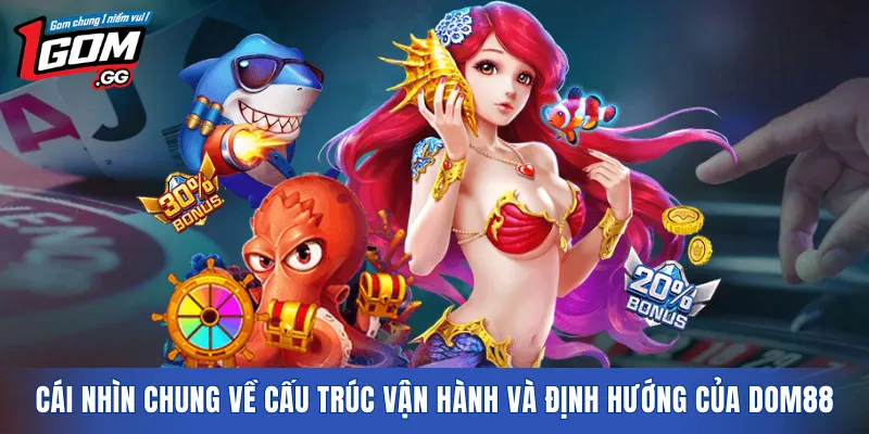 Cái nhìn chung về cấu trúc vận hành và định hướng của DOM88