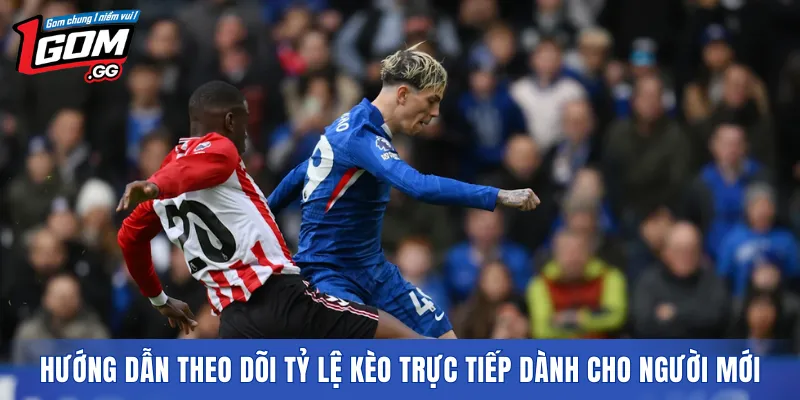 Hướng dẫn theo dõi Tỷ Lệ Kèo Trực Tiếp dành cho người mới