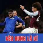 Kèo Rung Là Gì – Hiểu Đúng Khái Niệm Khi Theo Kèo Trực Tiếp