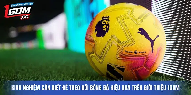Kinh nghiệm cần biết để theo dõi bóng đá hiệu quả trên giới thiệu 1GOM