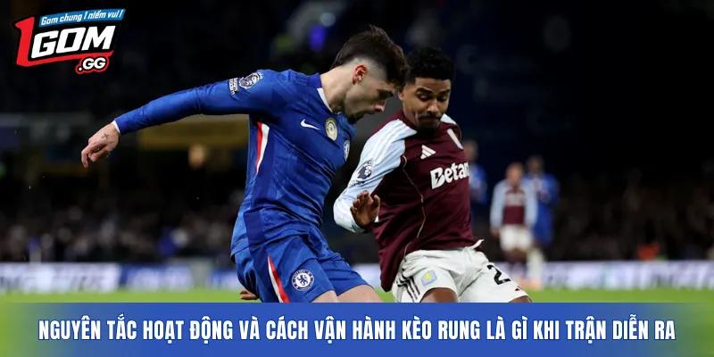 Nguyên tắc hoạt động và cách vận hành kèo rung là gì khi trận diễn ra