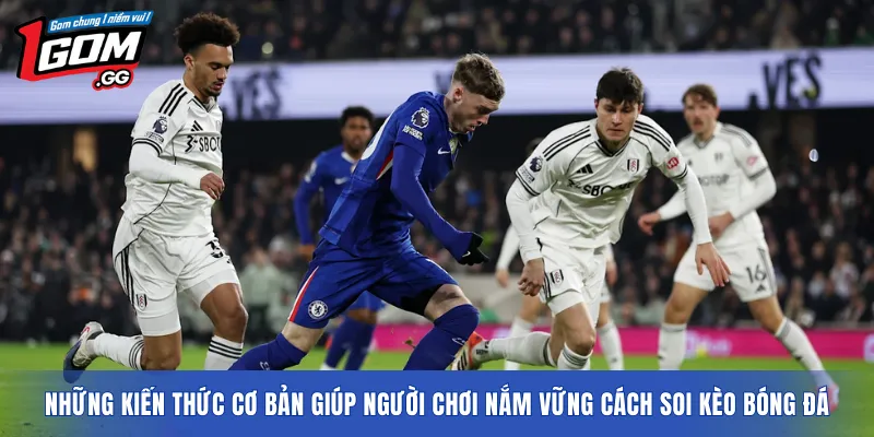 Những kiến thức cơ bản giúp người chơi nắm vững cách soi kèo bóng đá