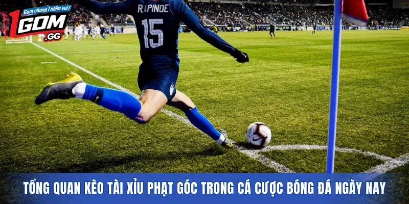 Tổng quan kèo tài xỉu phạt góc trong cá cược bóng đá ngày nay