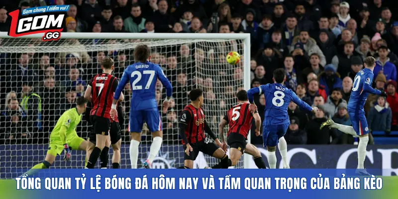 Tổng quan tỷ lệ bóng đá hôm nay và tầm quan trọng của bảng kèo