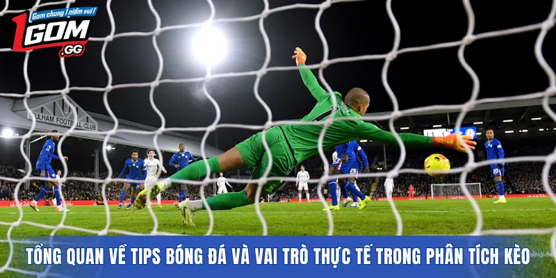 Tổng quan về tips bóng đá và vai trò thực tế trong phân tích kèo