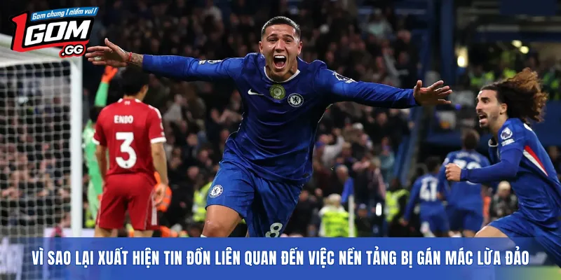 Vì sao lại xuất hiện tin đồn liên quan đến việc nền tảng bị gán mác lừa đảo