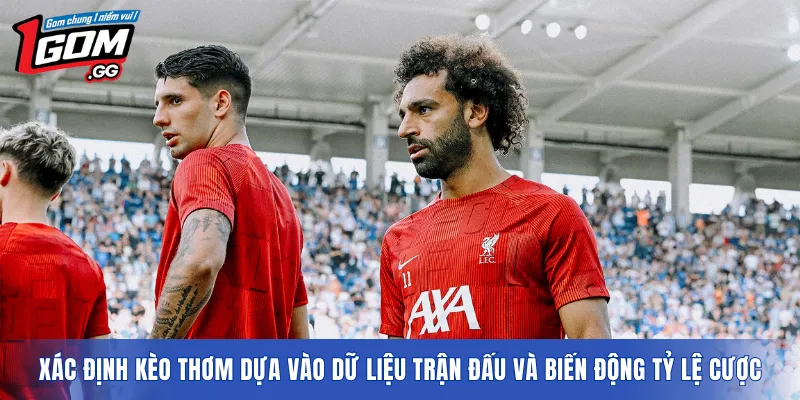 Xác định kèo thơm dựa vào dữ liệu trận đấu và biến động tỷ lệ cược